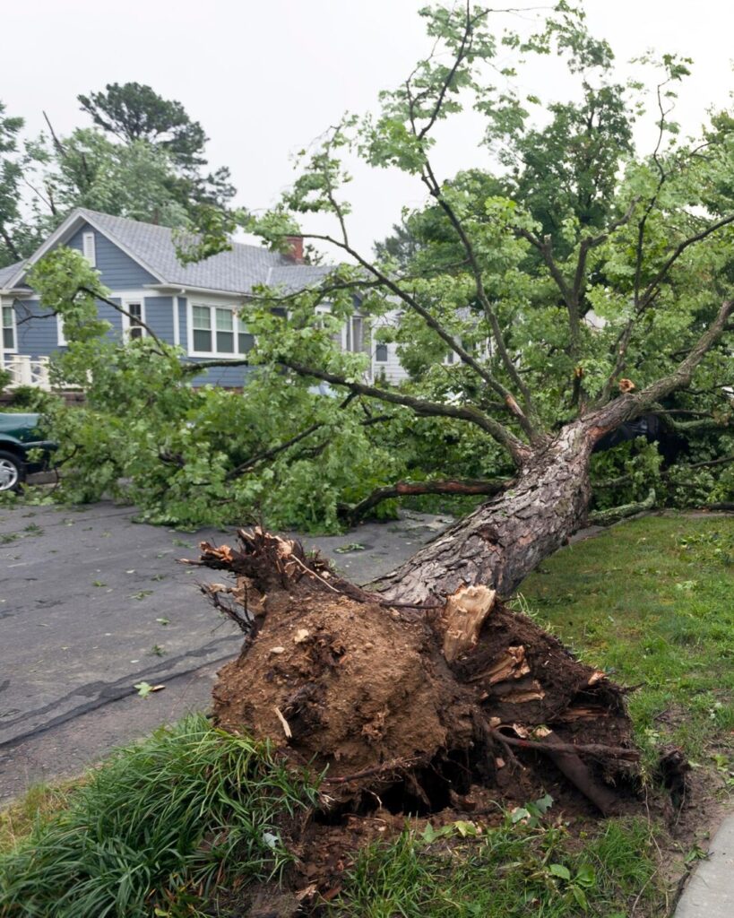 a neighborhood seen here after storm damage